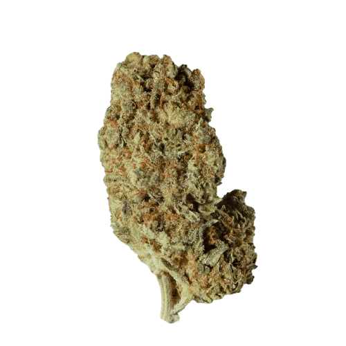 Breezy Organics GGL 25/1
