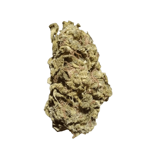 Good Supply Cannabisblüten THC22 SNL