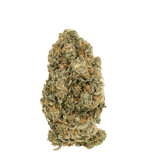 Social Choice 15/1 AUR LDO Lemon Diamond OG