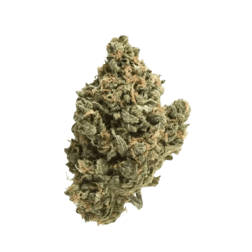 IMC GUM THC26 Selected