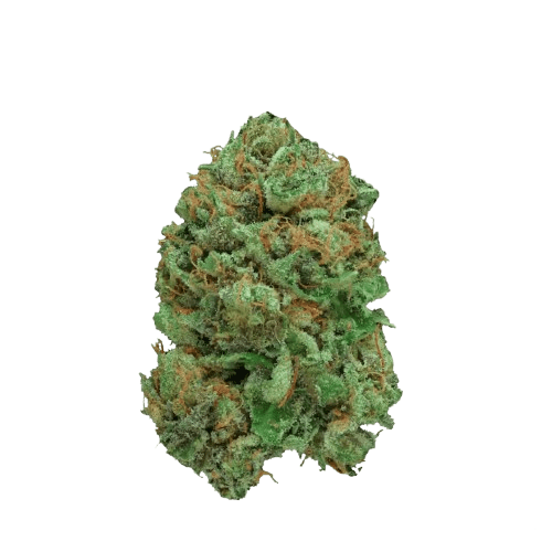 Canify Cannabis Flos 20/1 CSF