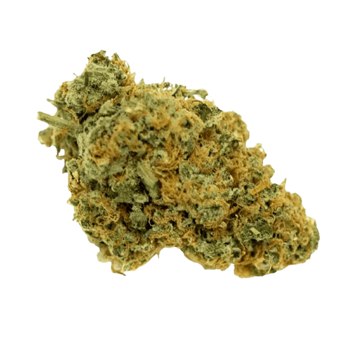 Origine Nature CHEM 25/1 Chemdawg OG