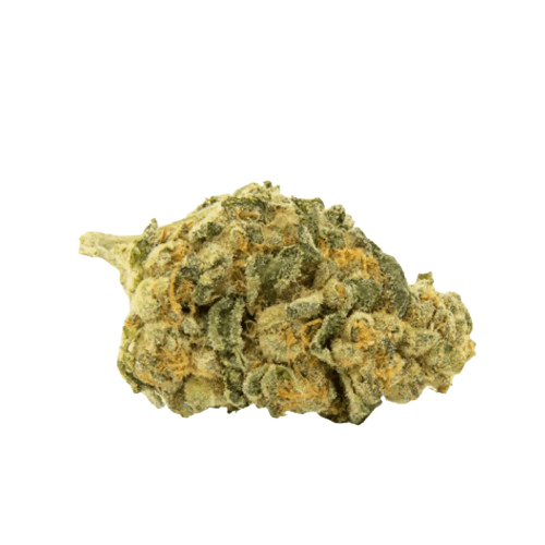 NICE 20/1 LMJ Lemon Jane