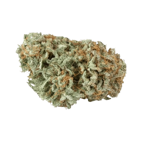 LIT 29/1 MKU Master Kush