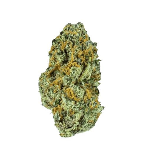 Mediprocan African Ruby 30/1 Black Cherry Punch