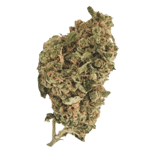 420 Sungrown 22/1 CA ZRP Zour Apple