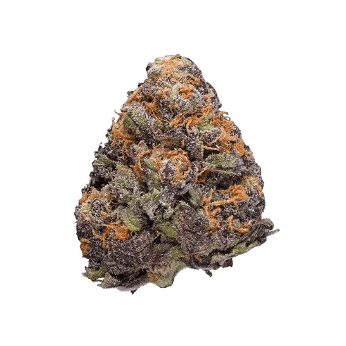 Curaleaf Natural 20/1 PT LVC Lavender Cake