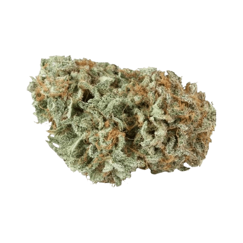 Tilray THC 15 Spotlight Porto Master Kush