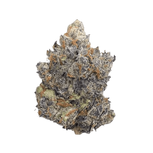 Breezy Organics PS 23/1 Pink Sherbet