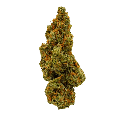 Sinceritas Sativa Verum 24/1 Kush Mints