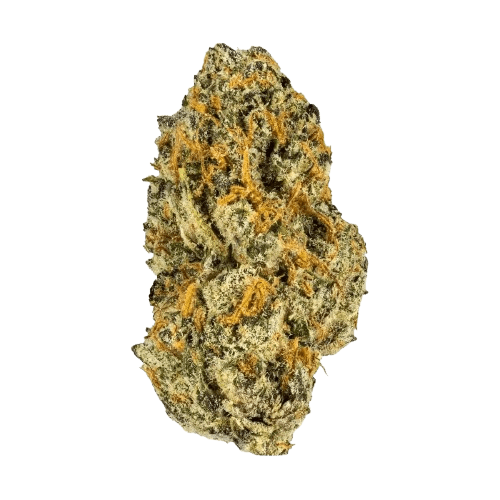THC AKUT MG 28 BCP Black Cherry Punch