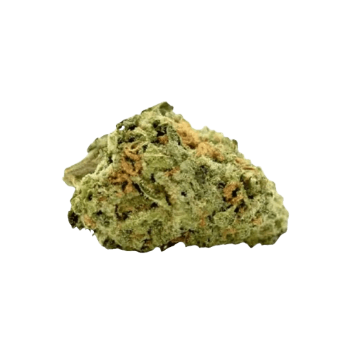 IMC 24K THC26 Egoist