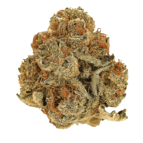 CM Sativa Vita
