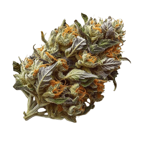 APEX PMK-PT 24/1 Permanent Marker