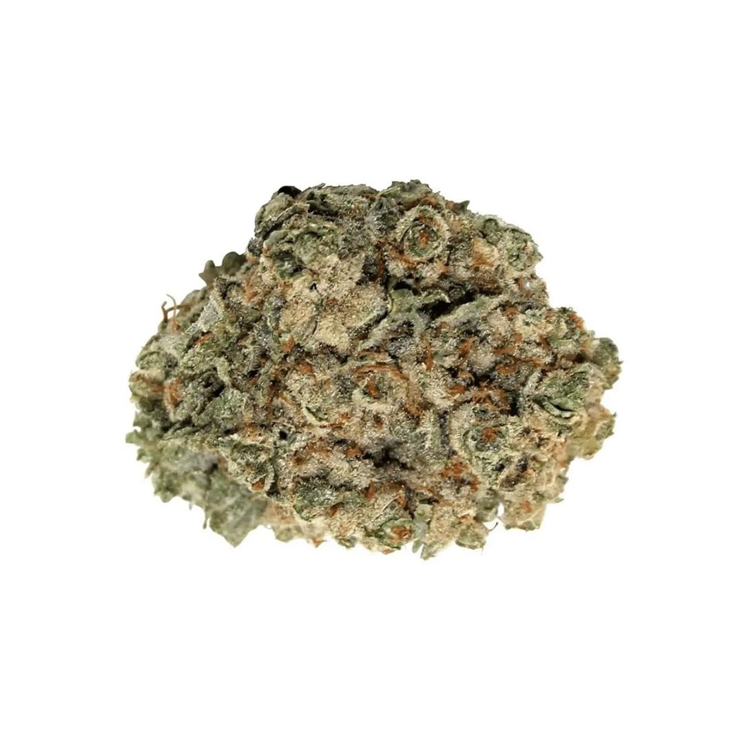 madrecan 24/1 HiFi 4G