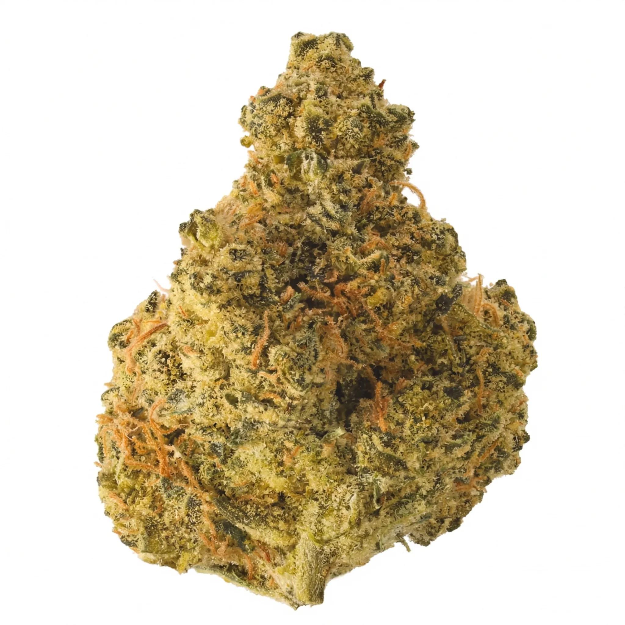 Hi Society 30/1 CAN UJA Ultra Jack