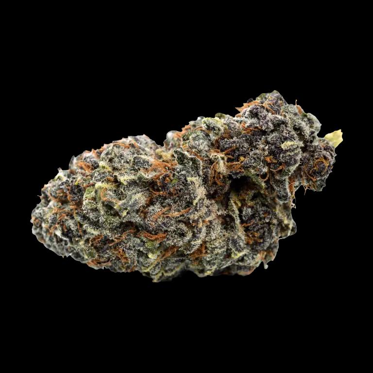 NICE 26/1 GP Georgia Pie