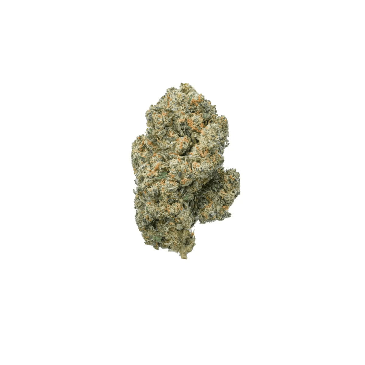 Cannamedical Sativa Classic SA Jack Herer