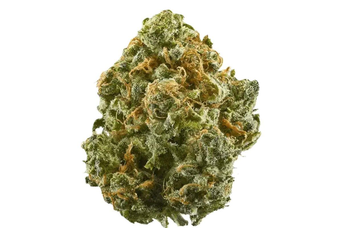 Barongo 26/1 FB Frosted Sweet Tooth