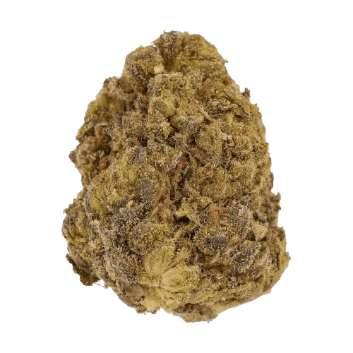 Cannamedical CM 24/1