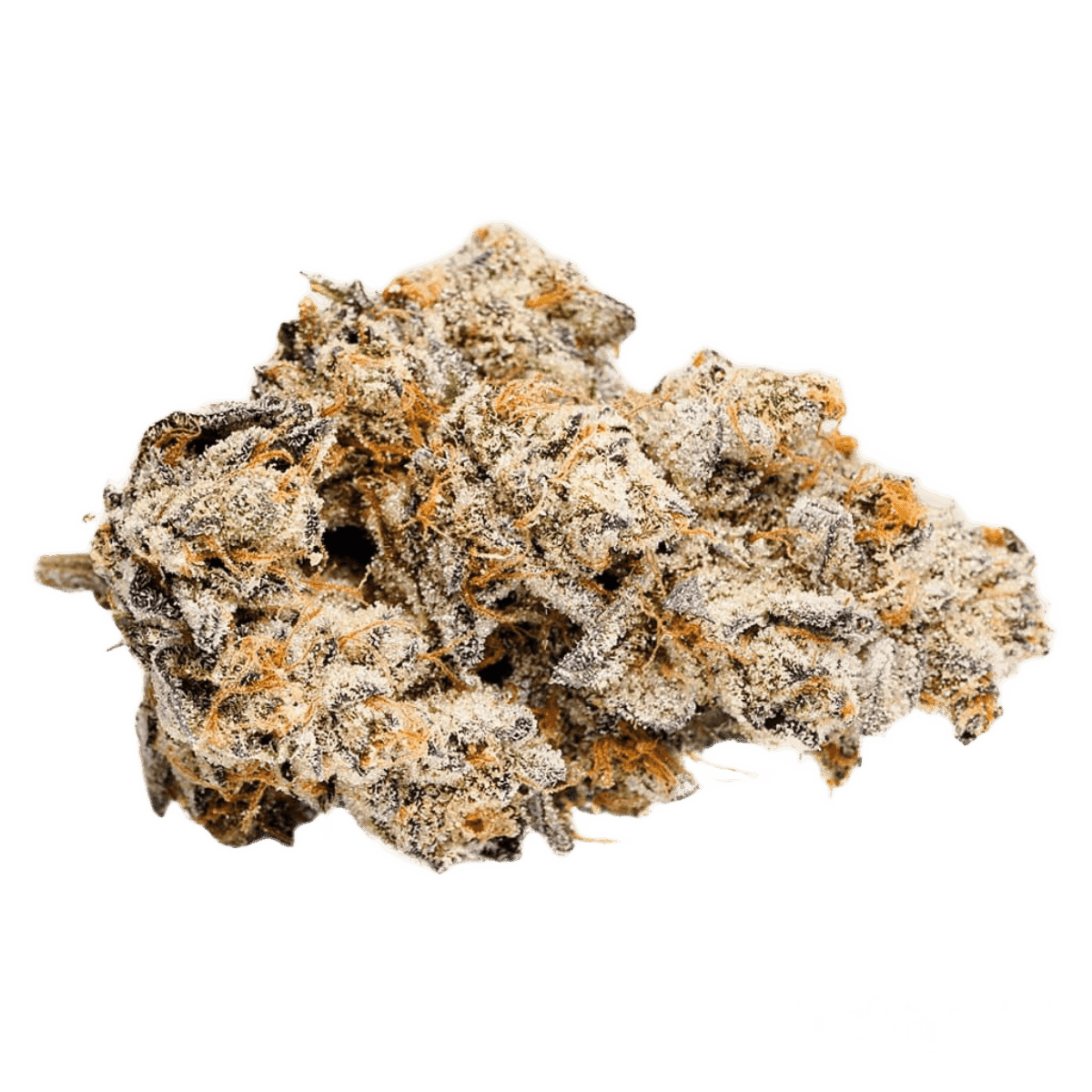 LOT 420 OC PT Orange Cake