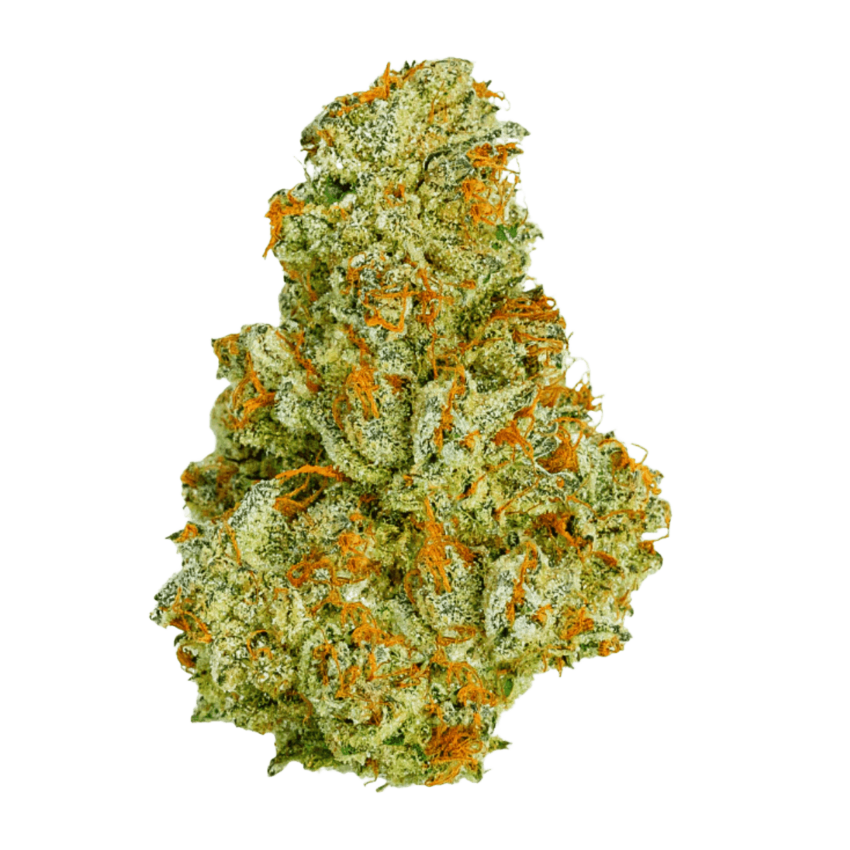 Medical Saints 21/1 USR Ultra Sour