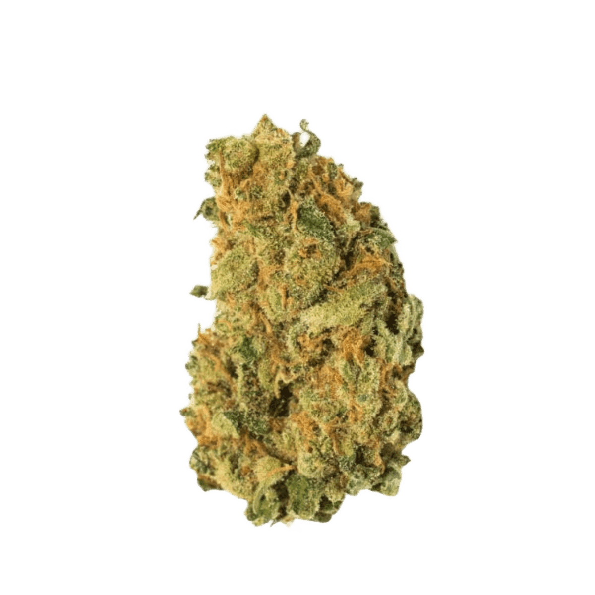 Cannamedical Sativa Forte NM Amsterdam Amnesia