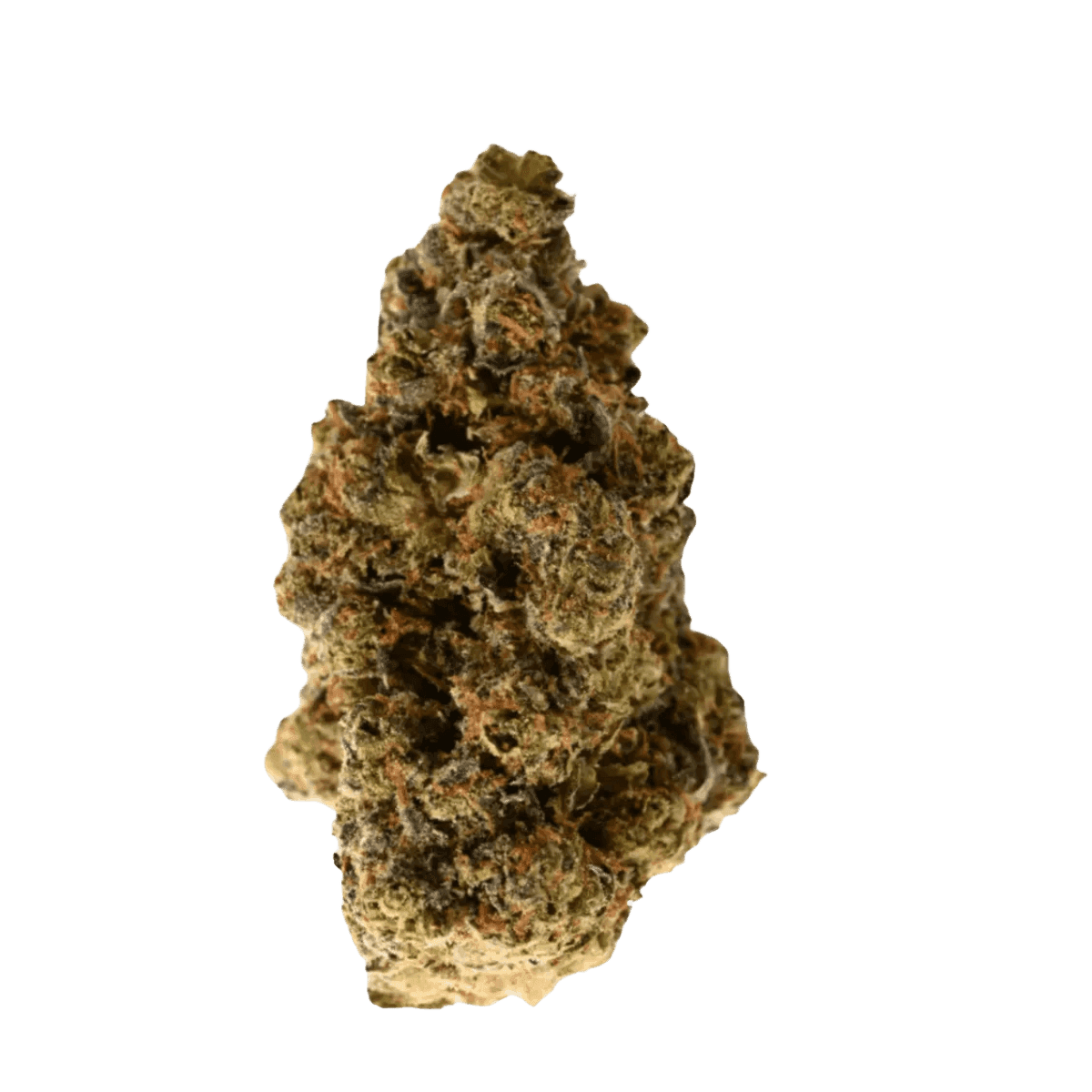 NICE 28/1 GSC Girl Scout Cookies