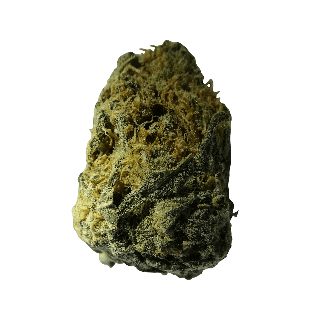 enua 25/1 11R CA White Widow Cheese