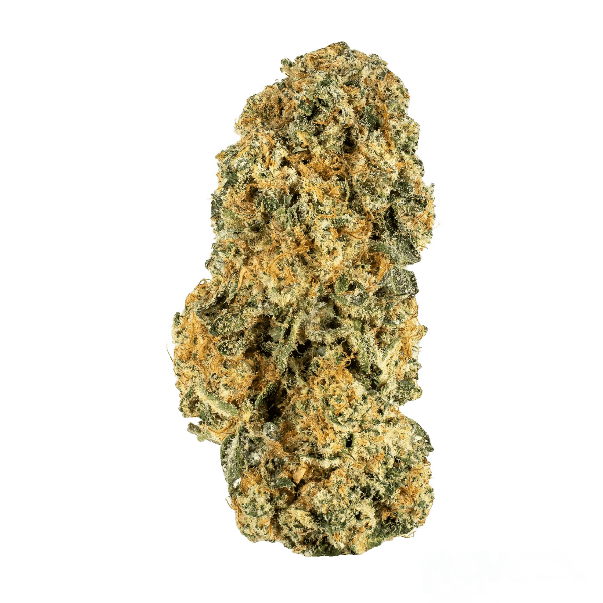 Remexian 27/1 GJY LPP Lemon Pepper Punch