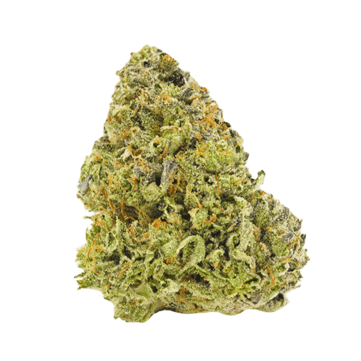 MC Regular Drop GMO x Jet Fuel Gelato