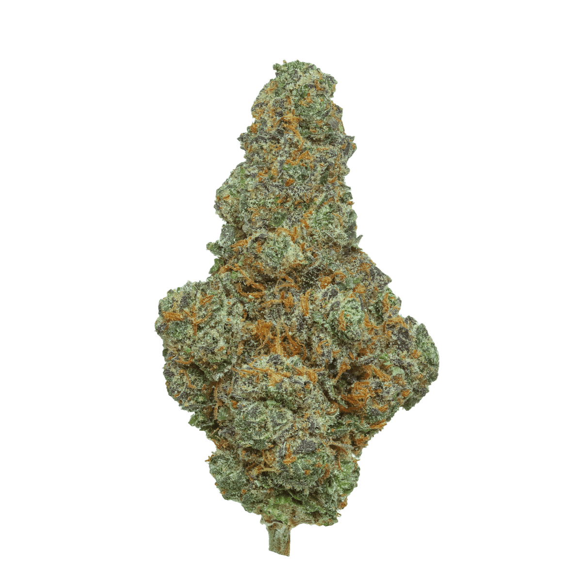Bathera THC akut EH 22 BLC Blunicorn