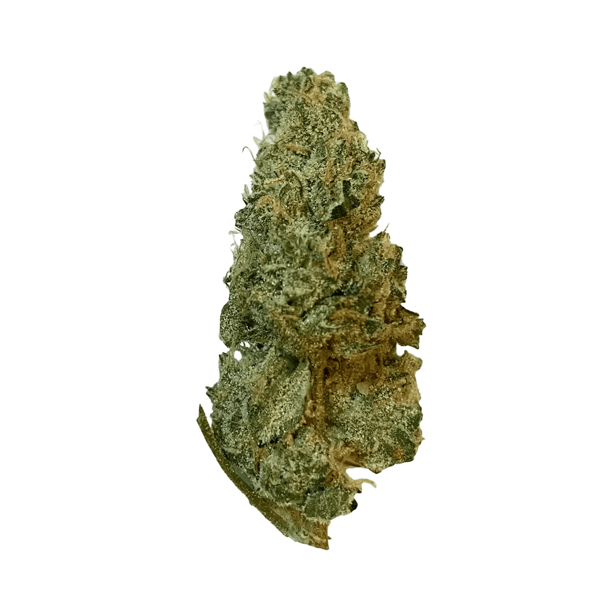 420 Evolution 33/1 CA GMO Cookies