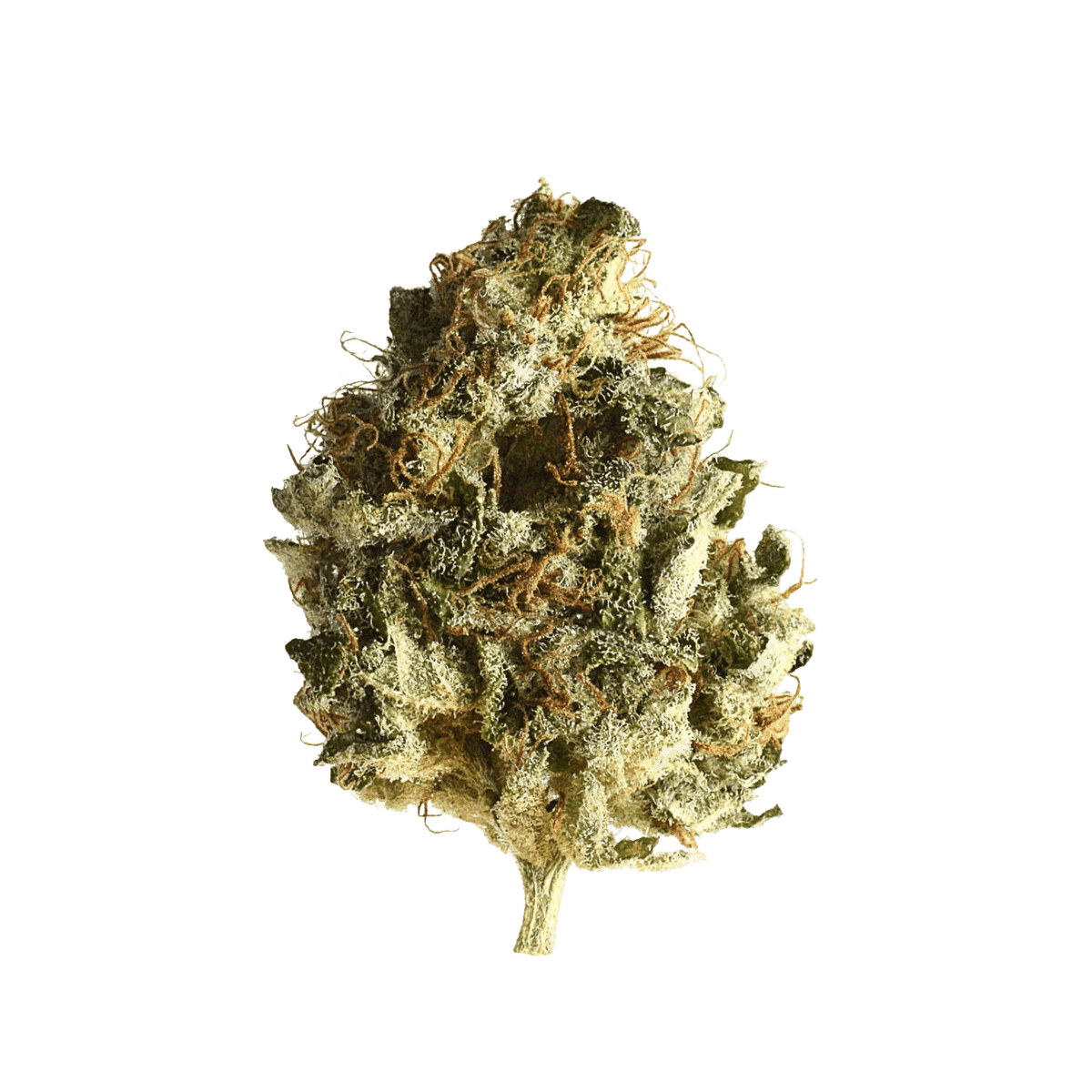 Remexian 27/1 GJY CHO Chocolate Kush