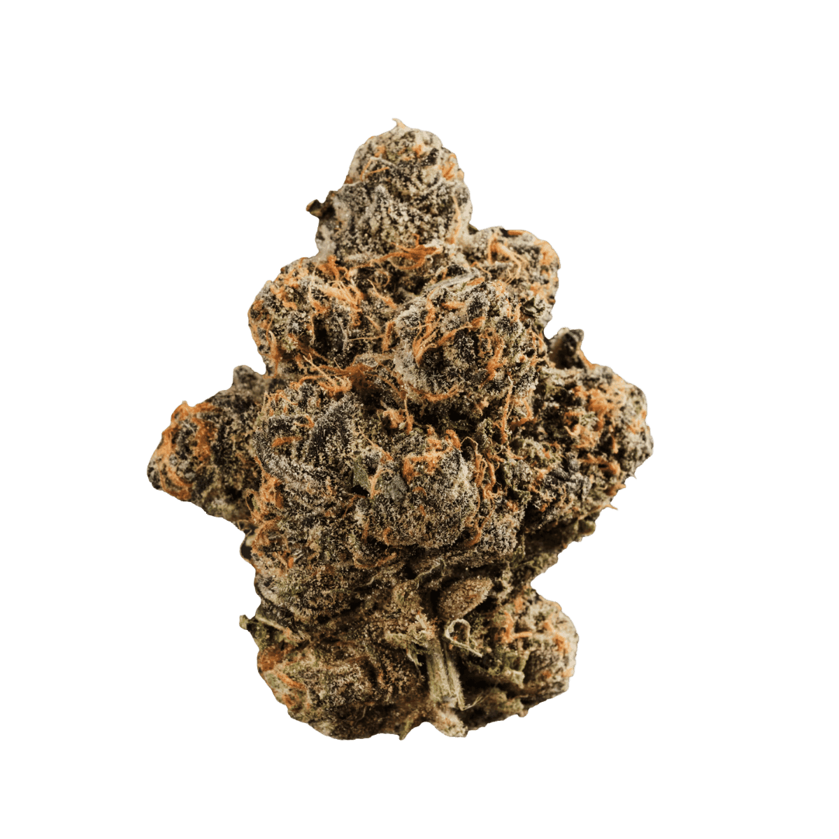 420 Compound 33/1 GAP Gastro Pop