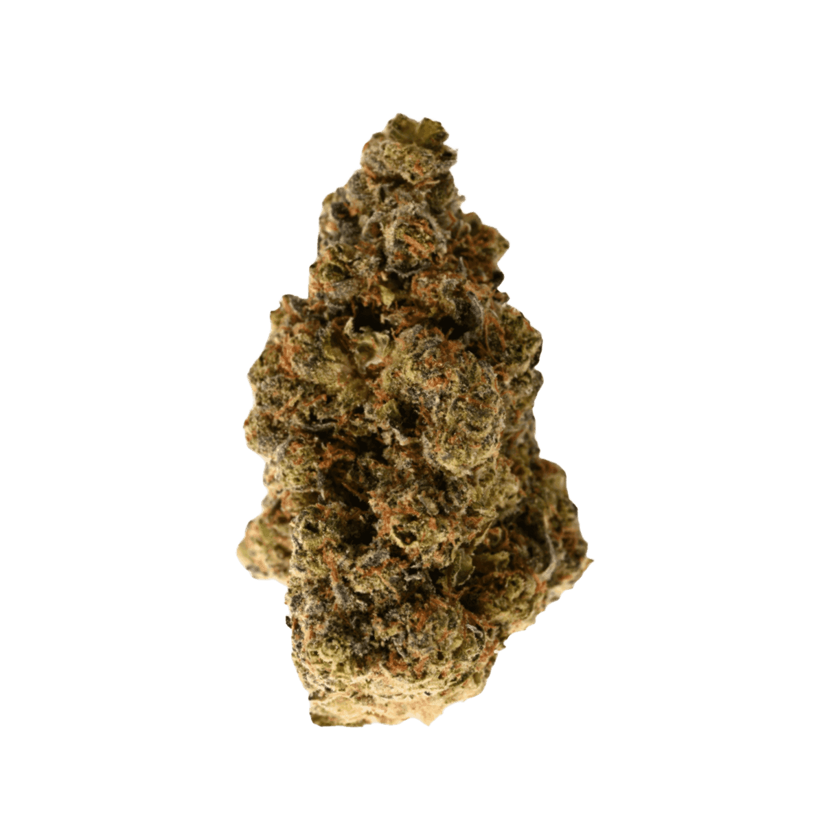 NICE 31/1 GSC Girl Scout Cookies