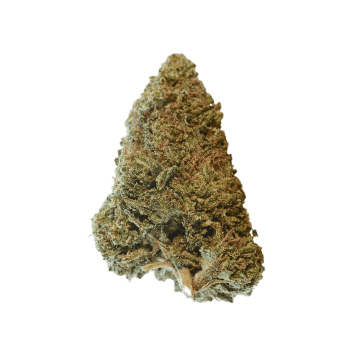 Slouu 22/1 SCH CA Sour Crush Haze