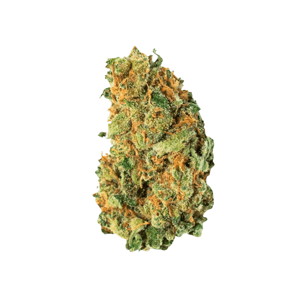 Weeco 27/1 Frosted Lemon Angel