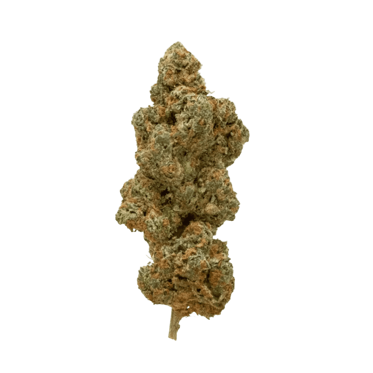 MED HAZE ENERGY PHOCC 26/1 Orange Coco Crunch