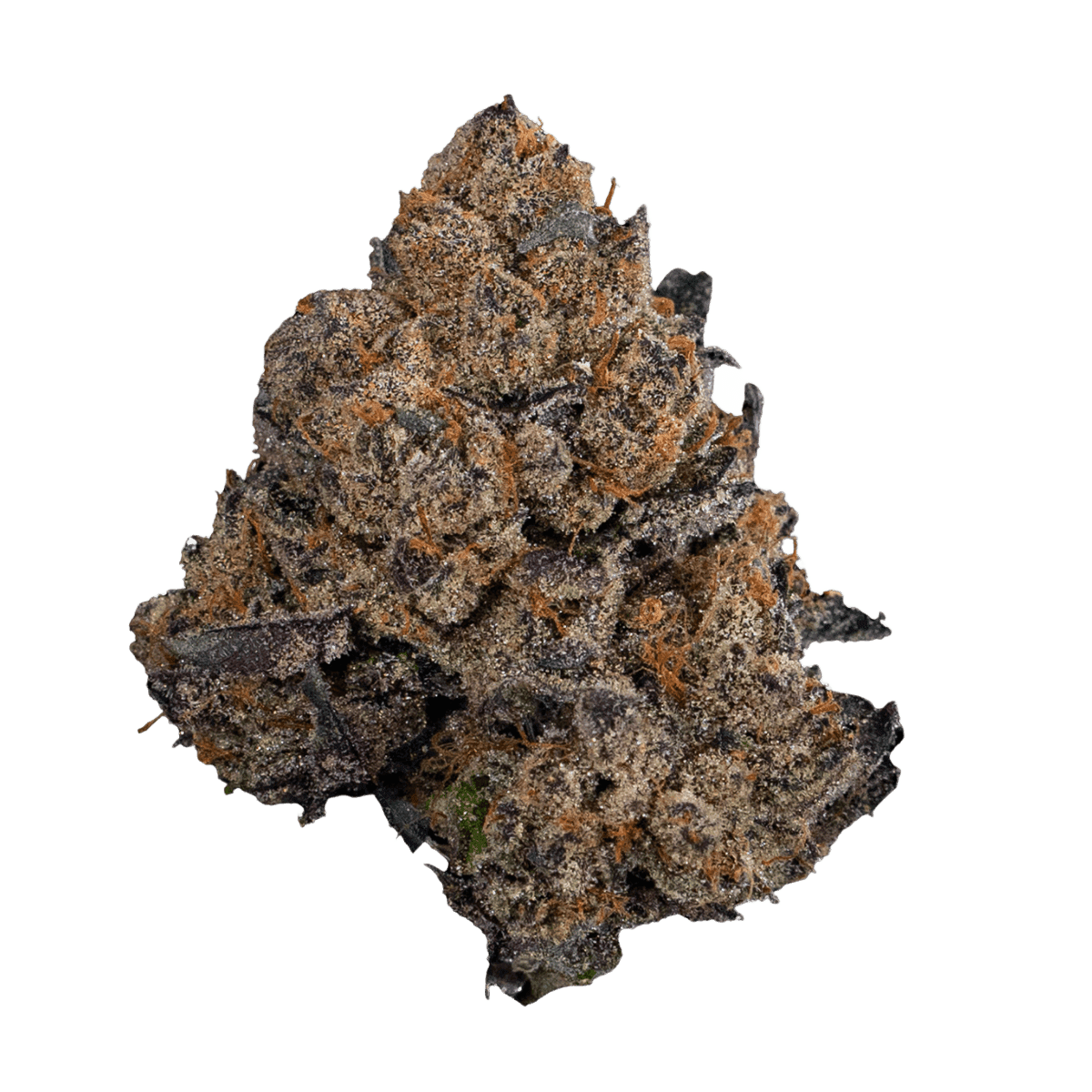 Candoro ethics 20:1 Hybrid SoMa Somango