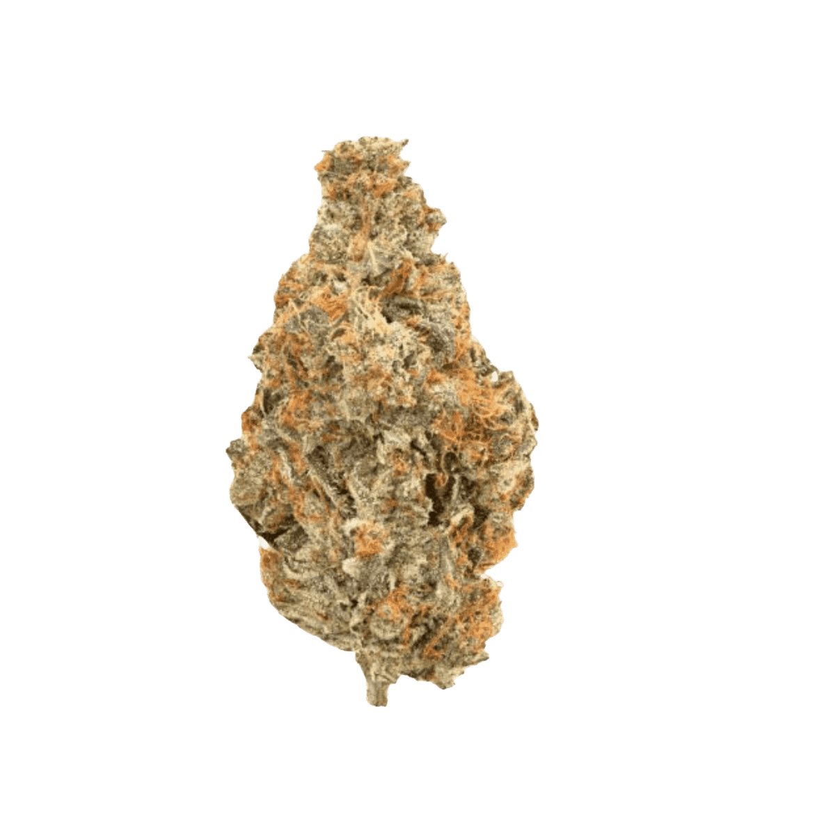 enua 33/1 ABK CA Afgan Bubba Kush