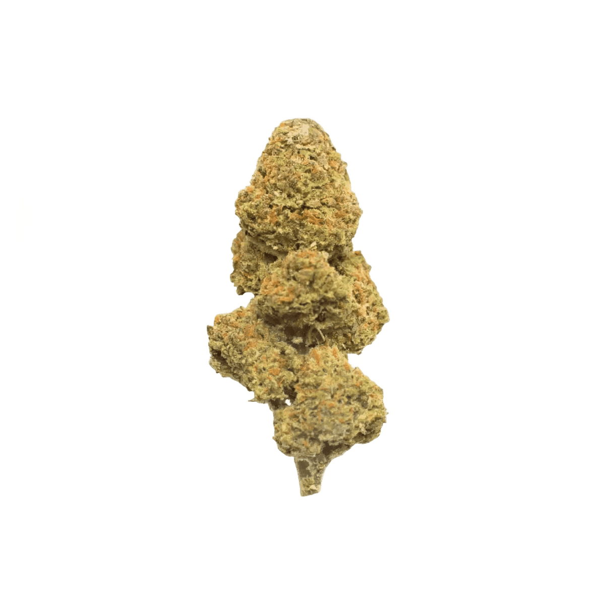 Slouu 27/1 CBC CA Citron Biker Cookies