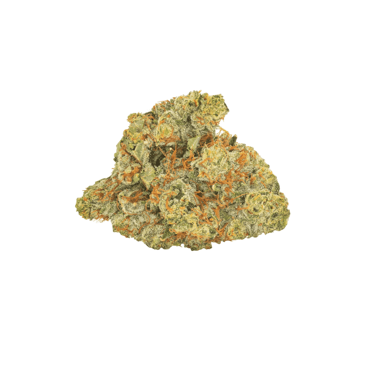 San Raf 29/1 PNK Pink OG Kush