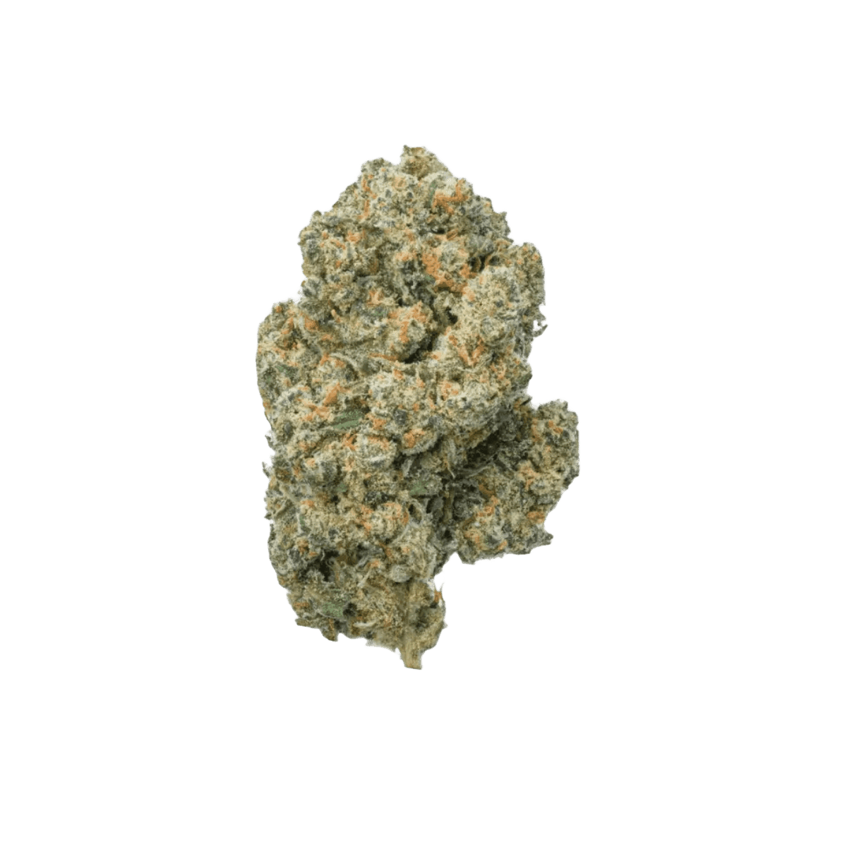 Balancial 22/1 PT S1 JH Jack Herer