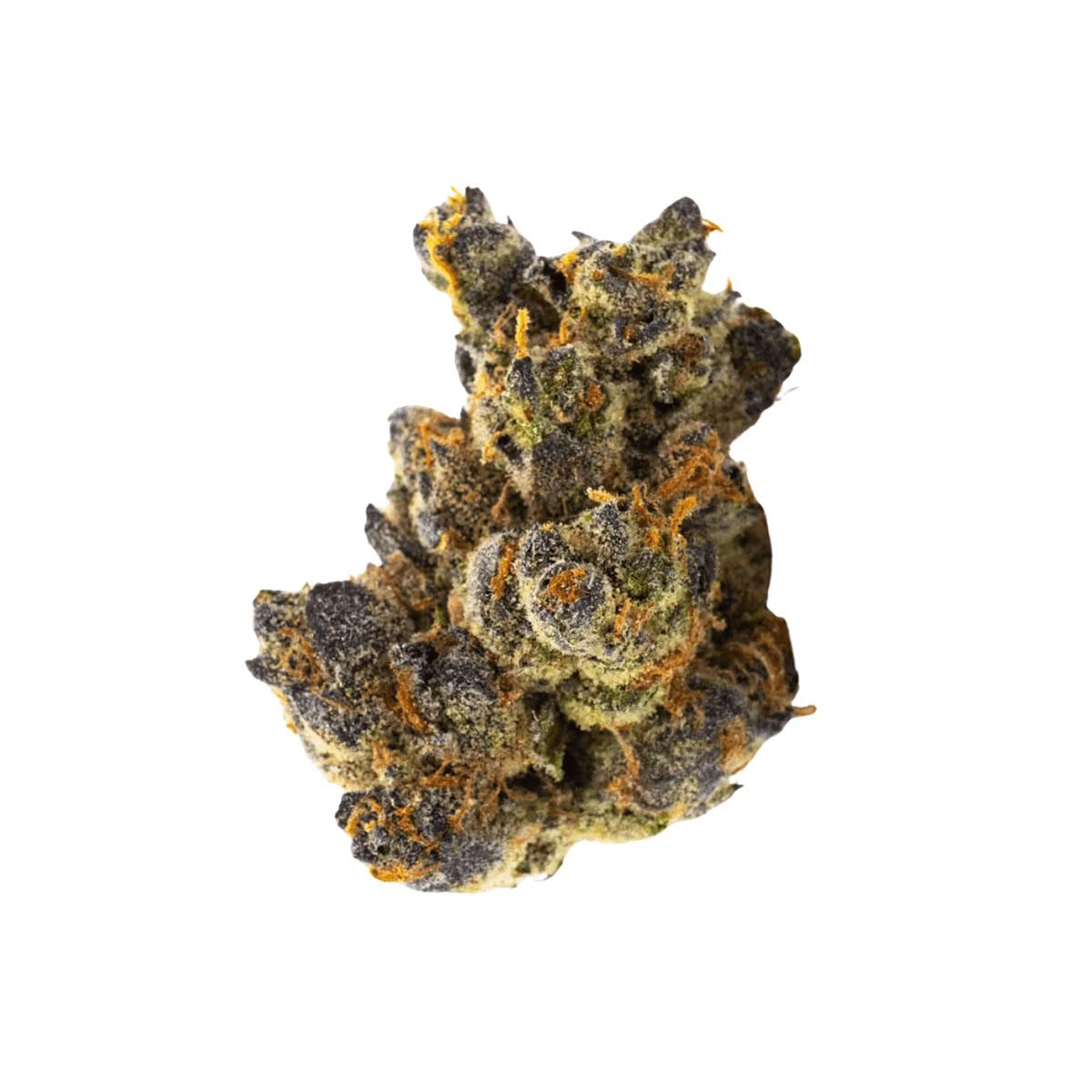 420 Compound 30/1 GAP Gastro Pop