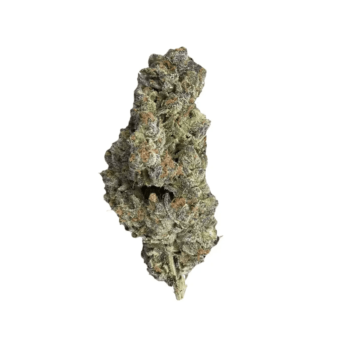 420 Evolution 25/1 CA PLD