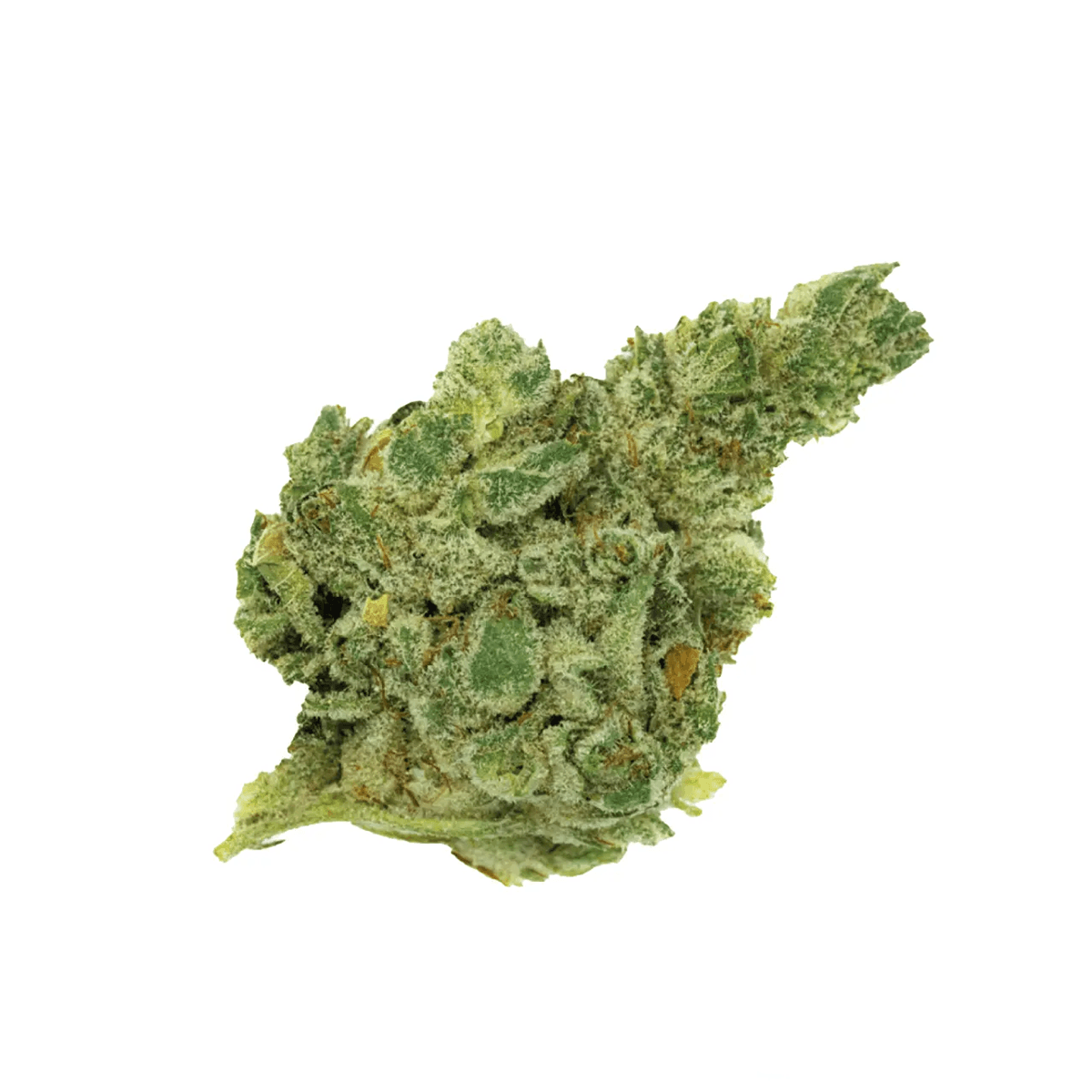 420 Natural 20/1 CA GG4