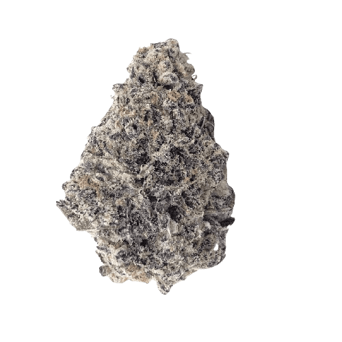 Demecan CORE SAXONIA 28:01 LB La Bomba No.4