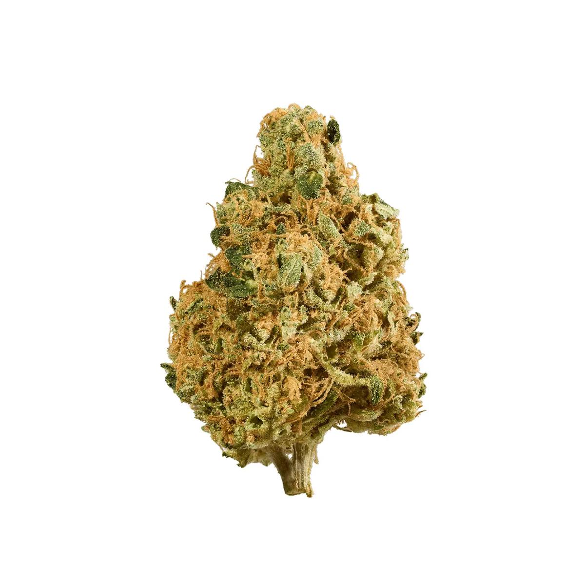 ADREX 24 CSC CAN Chem Scout Cookies