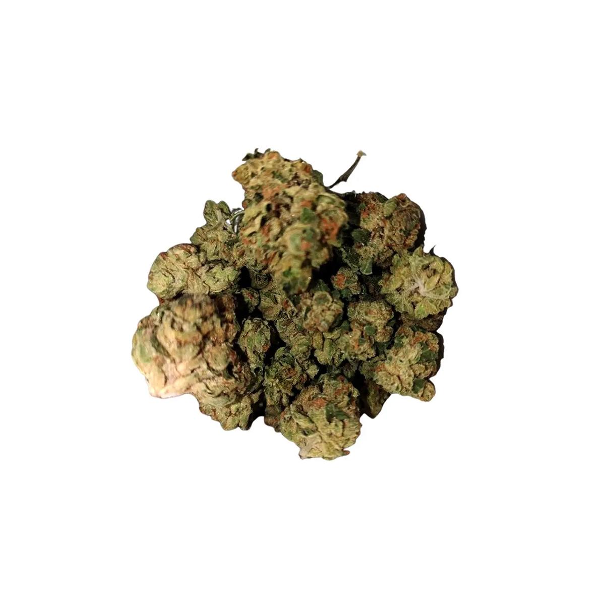 AMP Classic 25/1 Frosted Lemon Angel